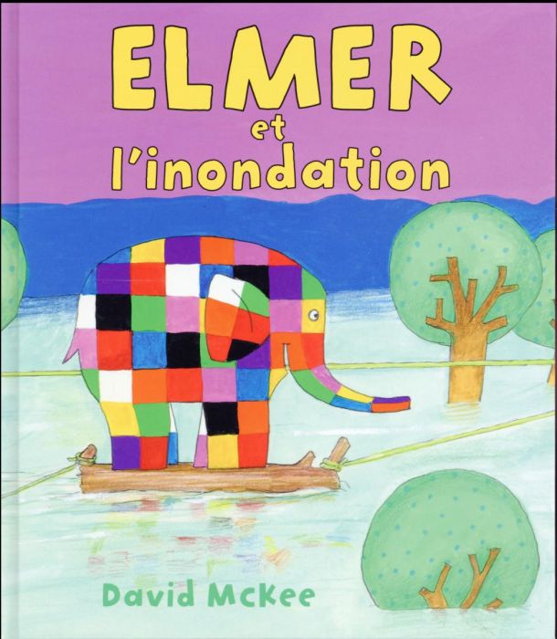 Emprunter Elmer et l'inondation livre