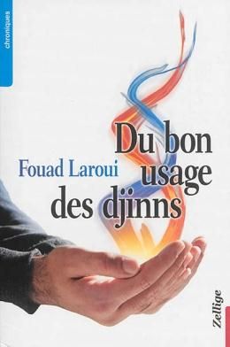 Emprunter Du bon usage des djinns livre