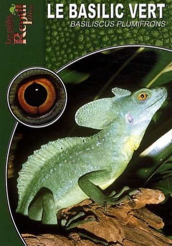 Emprunter Le basilic vert. Basiliscus plumifrons livre