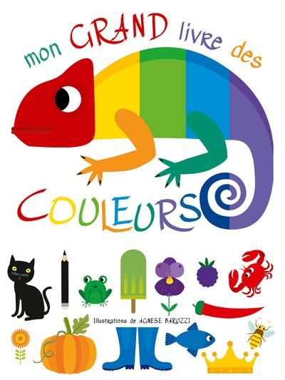 Emprunter Mon grand livre des couleurs livre