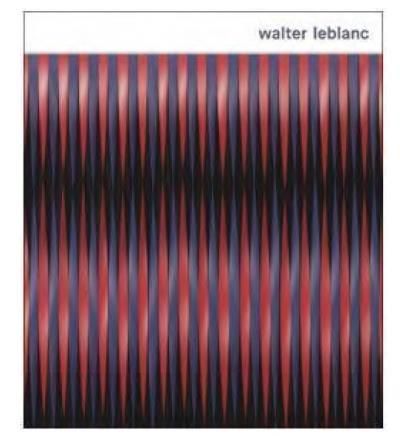 Emprunter Walter Leblanc livre