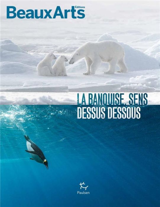 Emprunter La banquise, sens dessus dessous livre