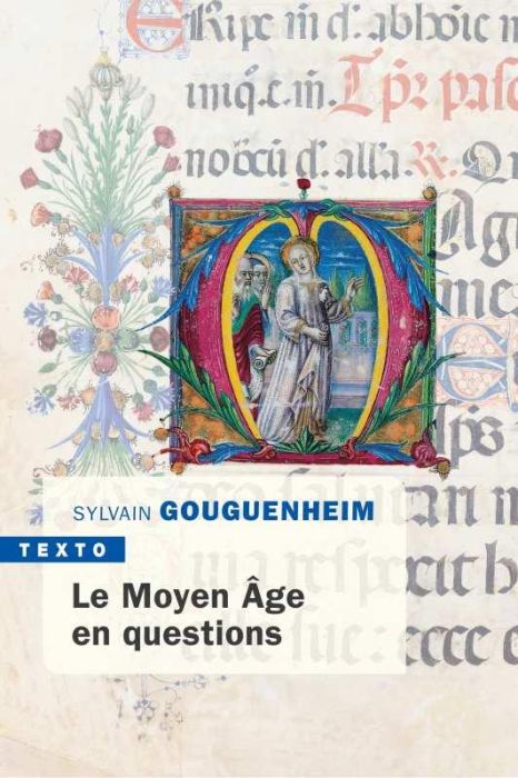 Emprunter Le Moyen Age en question livre