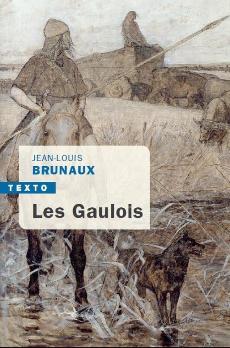 Emprunter Les Gaulois livre