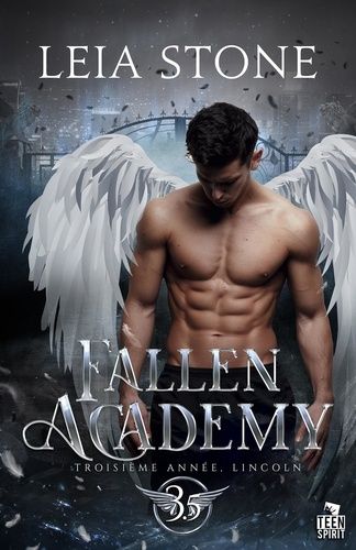 Emprunter Troisième année, Lincoln. Fallen Academy, T3.5 livre