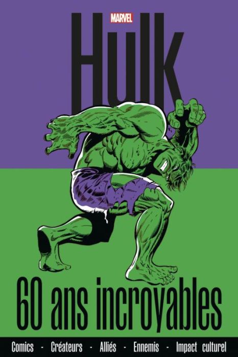 Emprunter Hulk : 60 ans incroyables livre