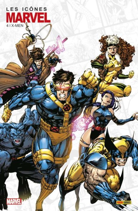 Emprunter Les icônes Marvel N°04 : X-Men livre