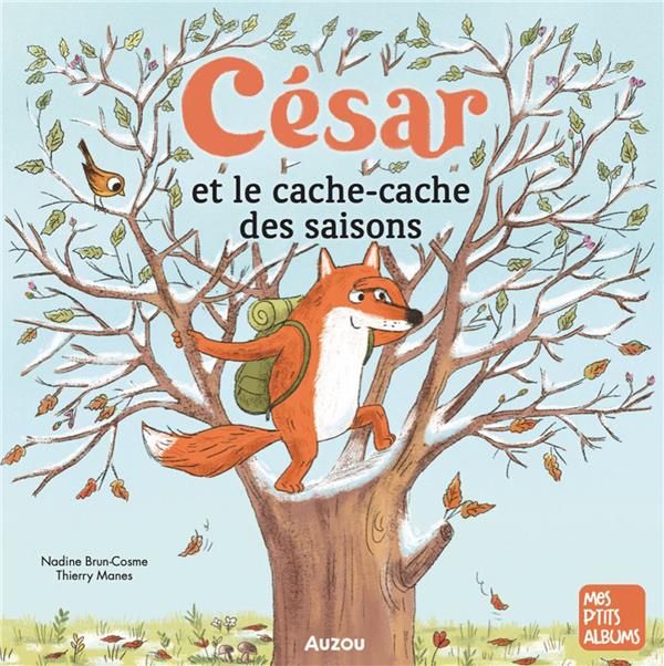 Emprunter César et le cache-cache des saisons livre