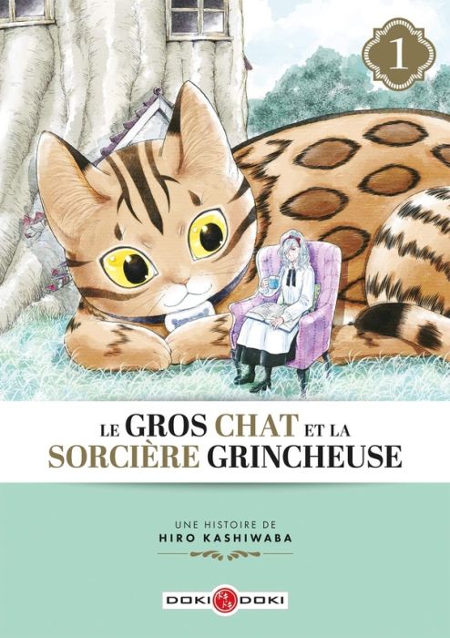 Emprunter Le gros chat et la sorcière grincheuse Tome 1 livre