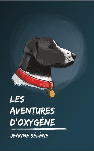 Emprunter Les aventures d'Oxygène livre